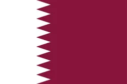 卡塔尔 战队徽标