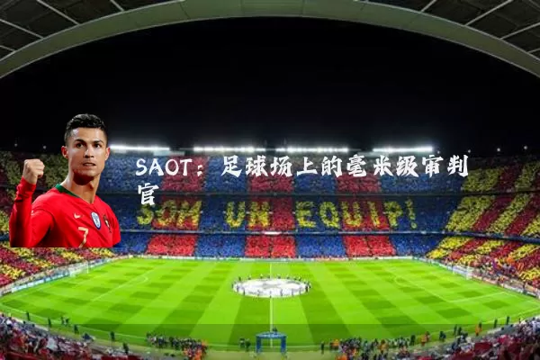 SAOT:足球场上的毫米级审判官